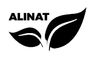 alinat Diseño web Rosario