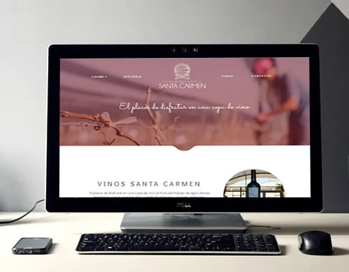Sitio web Bodega Santa carmen