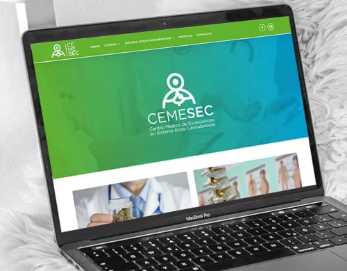 Sitio web Cemesec