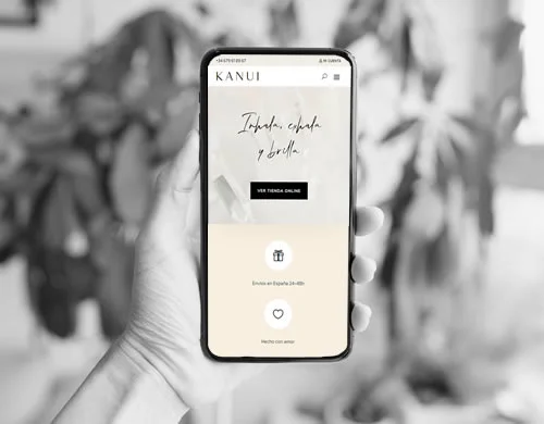 Sitio web Kanui