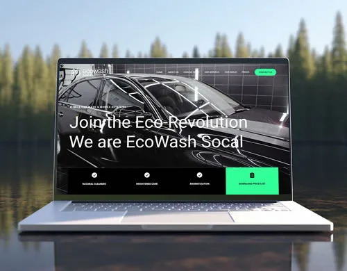 Sitio web EcoWash America