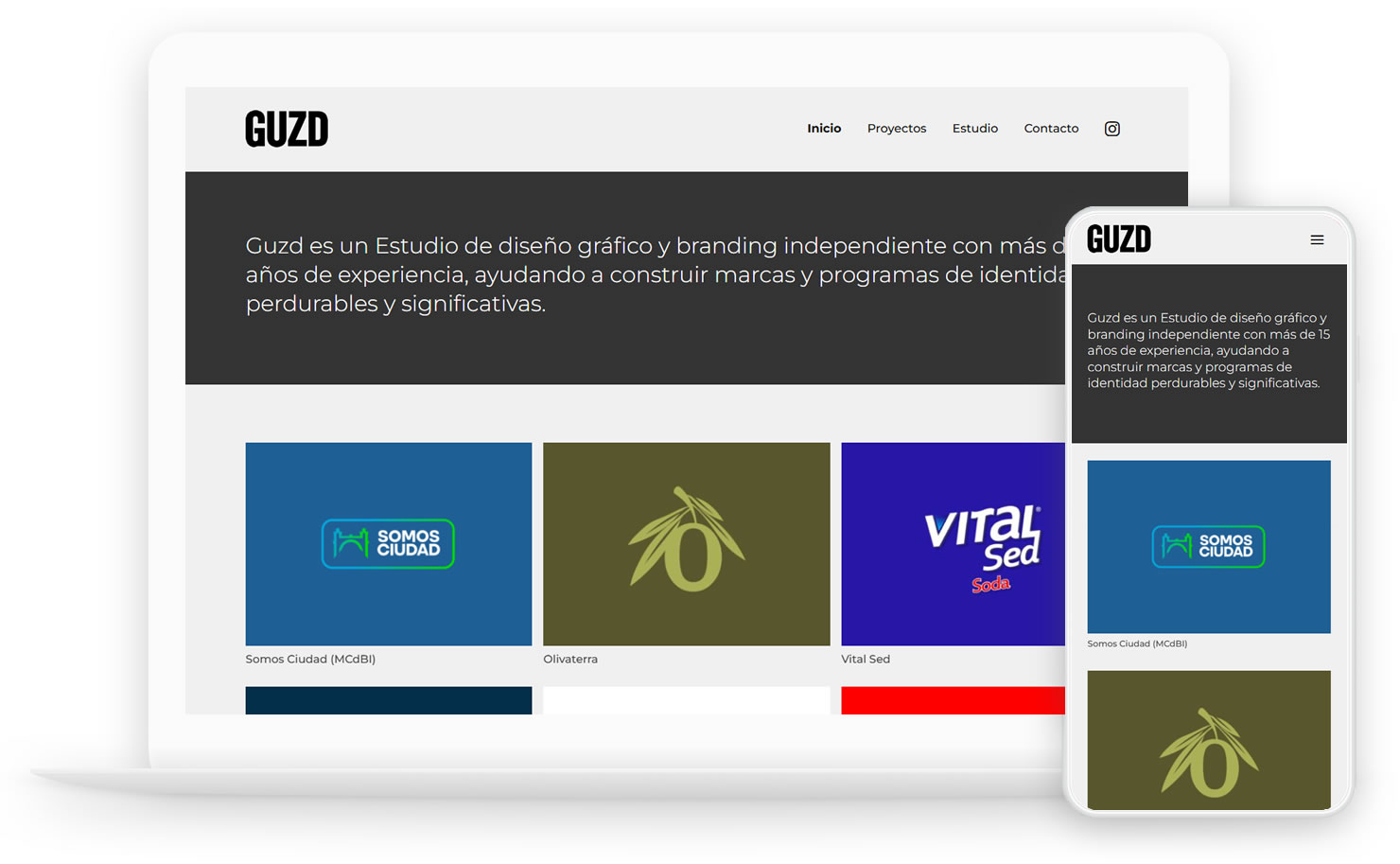 paginas-web-dinamicas