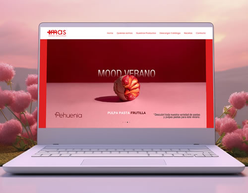 Sitio web Mas Distribuidora