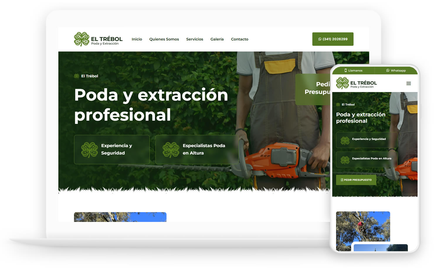 paginas-web-dinamicas