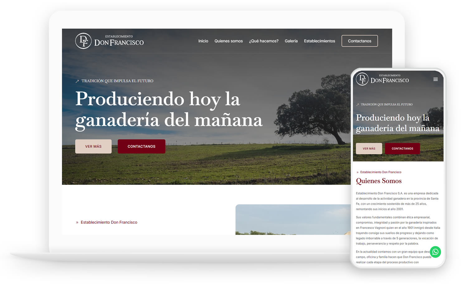 paginas-web-dinamicas