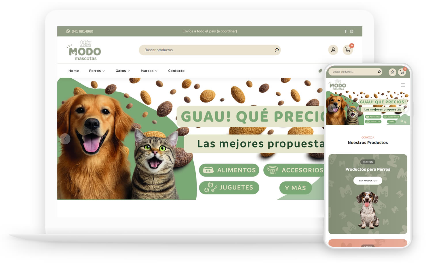 paginas-web-dinamicas